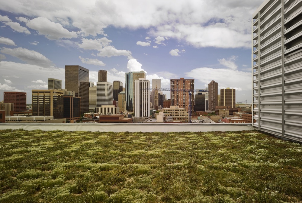 Green Roof Initiative in Denver – What You Need to Know (Continued)