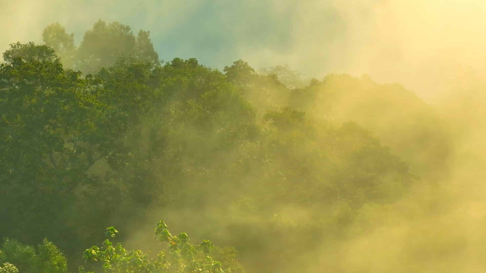 Why Embodied Carbon Is Moving from Voluntary to Vital in Commercial Development
